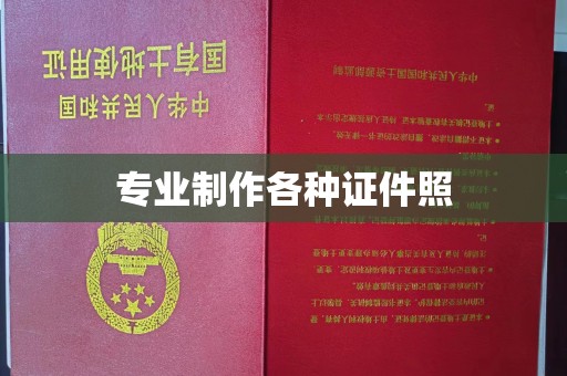 英山专业制作各种证件照