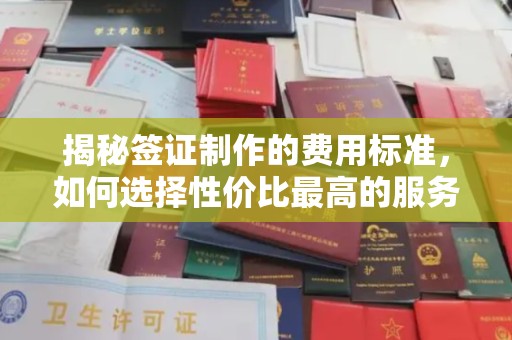 英山揭秘签证制作的费用标准，如何选择性价比最高的服务？