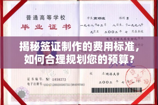 英山揭秘签证制作的费用标准，如何合理规划您的预算？